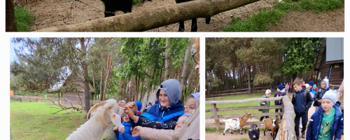Wycieczka do ZOO „Leśne Zacisze” w Lisowie